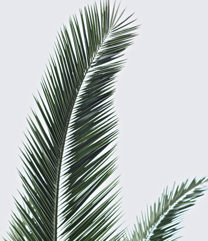 Hållbarhetsklivet-solochsand